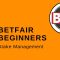 10 Betfair Exchange Trading for Beginners: Stake Management