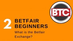 2 Betfair Exchange Trading for Beginners: What is the Betfair Exchange?