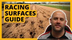 All Weather Horse Racing Surfaces Explained: Tapeta, Polytrack & Fibresand