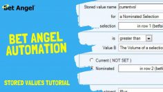 Bet Angel | Automated Betfair trading | Using stored values