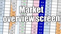 Bet Angel – Betfair racing trading – Market overview screen