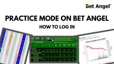 Bet Angel – Logging in using the practice mode