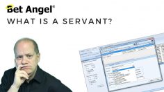 Bet Angel – New feature – What is a Servant?