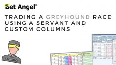 Bet Angel – Trading a Greyhound race using a Servant and custom columns