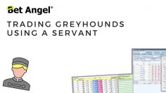 Bet Angel – Trading Greyhounds with a Gap filling Servant