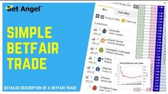 Betfair trading | A simple pre-off horse racing trade | Fully explained