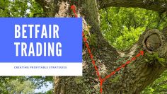 Betfair trading | Creating a profitable Betfair trading strategy
