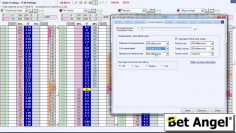 Betfair trading – High speed ladder trading settings