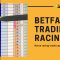 Betfair trading | Horse racing | A £90 profitable trade explained in depth