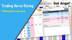 Betfair trading – Horse racing – Profiting from a late move