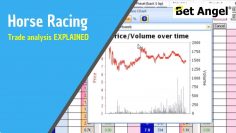 Betfair Trading: Horse Racing – Trade analysis