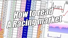 Betfair trading – How to read and trade a horse racing market – Peter Webb