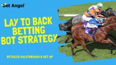Betfair trading | Lay to back (L2B) strategy | Fully automated bot