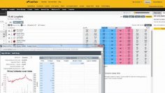 Betfair trading – Long term vs Short term trading