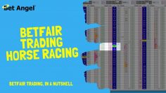 Betfair trading on horse racing – Explained in 3 minutes