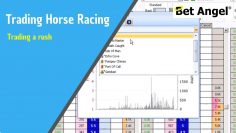 Betfair trading – Peter Webb – Bet Angel trading software – Trading a rush