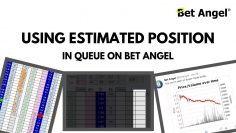 Betfair trading – Scalping – Using estimated position in queue on Bet Angel