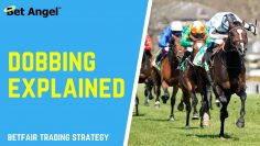 Betfair trading strategies | How to do Dobbing | Clearly explained