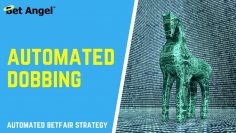 Betfair trading strategies | How to do AUTOMATED dobbing | Clearly explained