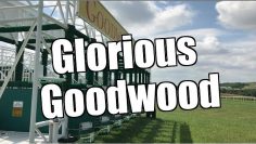 Betfair trading strategies – Trading Glorious Goodwood