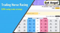Betfair trading – Strategy behind a £250 swing trade