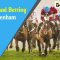 Betfair trading – The Cheltenham Festival – Exclusive content available