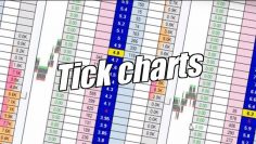 Betfair trading – Tick charts and why you may not need them! Peter Webb