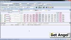 Betfair trading – Trading gambled horses – Automatically – 2/3