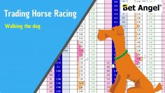 Betfair trading – Trading horse racing – Walking the dog