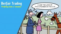 Betfair trading – Trading order flow by spotting a steamer