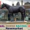 #BettingPeople Special – NATIONAL HORSE RACING MUSEUM