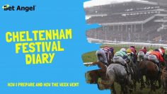 Cheltenham Festival | Betfair trading diary | Peter Webb