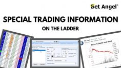Displaying special trading information on the Bet Angel ladder