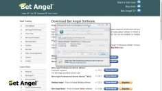 Download, Installing & Updating Bet Angel