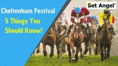 Five top tips for betting and Betfair trading at the Cheltenham festival