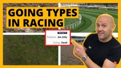 Going Types in Racing Horse Racing & How the Going is Calculated at Racecourses