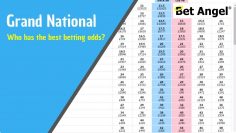 Grand National tips – Who has the best betting odds?