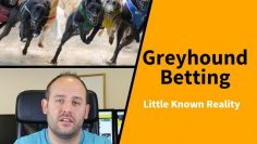 Greyhound Betting: Little Known Reality…