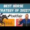 Have We Found a Great Horse Racing Betting Strategy That Makes Money?