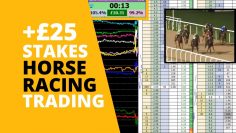 Horse Racing trading on Betfair – Small stakes, bigger profits!