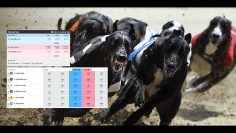 How To Trade Greyhounds On Betfair – Explanation