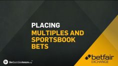 HOW TO USE BETFAIR | HOW TO PLACE MULTIPLE BETS