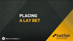 HOW TO USE BETFAIR | PLACING A LAY BET