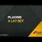 HOW TO USE BETFAIR | PLACING A LAY BET