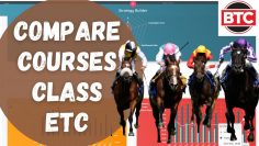 Instantly Back Testing Your Strategy for Courses, Class etc! – Betfair Horse Racing Trading Software