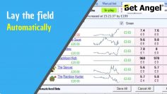 Lay the field – Betfair trading strategies – Automate it on Bet Angel