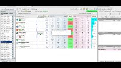 LIVE Trade Lay to Back Betfair Trading