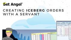 Peter Webb – Bet Angel – Betfair trading – Iceberg orders