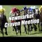 Peter Webb – Bet Angel – Betfair trading – Newmarket Craven meeting