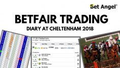 Peter Webb – Bet Angel – Cheltenham Betfair trading diary